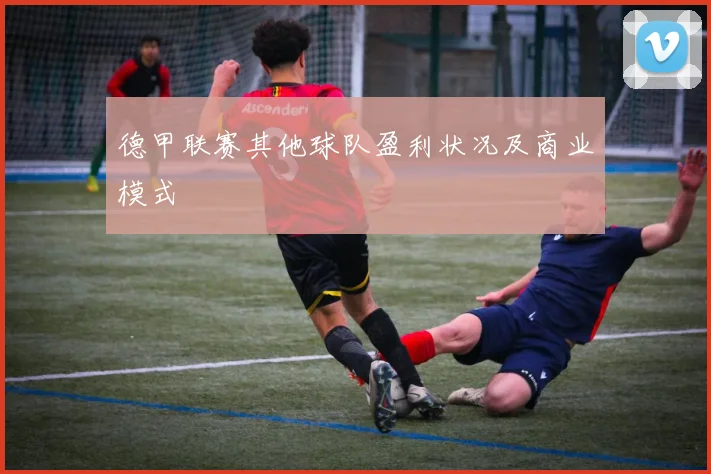 德甲联赛其他球队盈利状况及商业模式