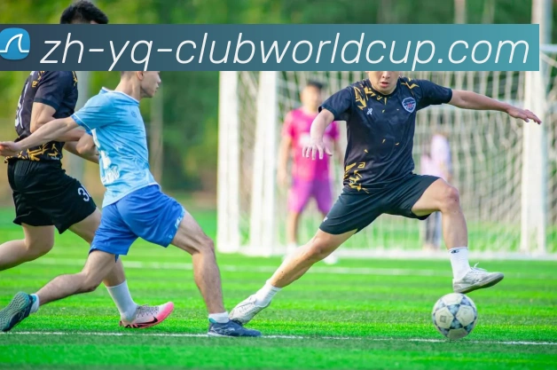 世界杯官网服务体系