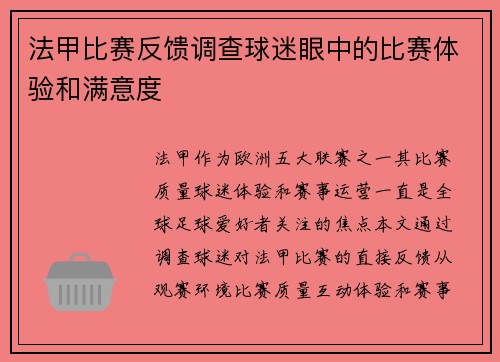 法甲比赛反馈调查球迷眼中的比赛体验和满意度